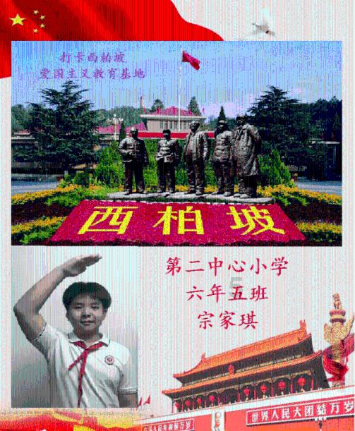 彼得比尔特379拼图
